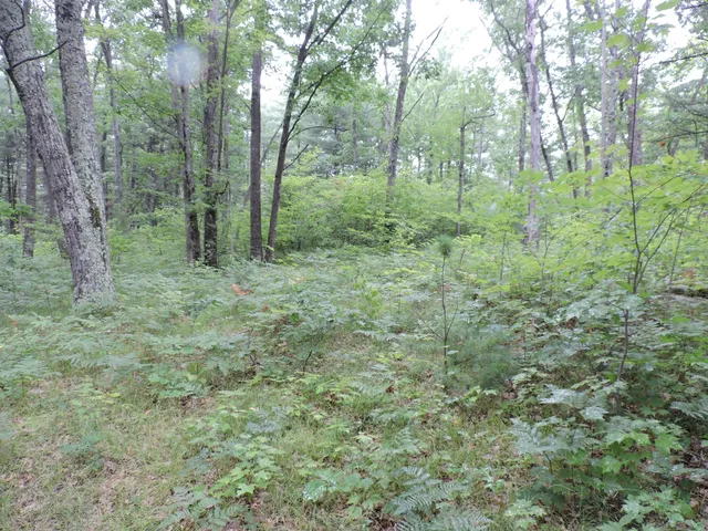 $439,900 | 9773 North Woodbridge Avenue, Bitely, MI 49309