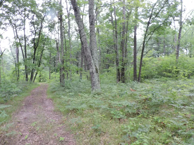 $439,900 | 9773 North Woodbridge Avenue, Bitely, MI 49309