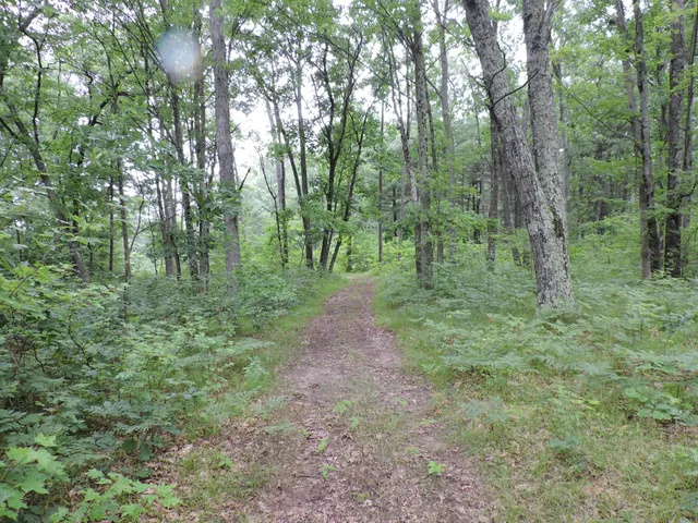 $439,900 | 9773 North Woodbridge Avenue, Bitely, MI 49309