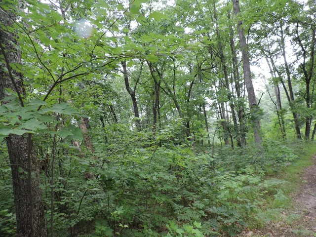 $439,900 | 9773 North Woodbridge Avenue, Bitely, MI 49309