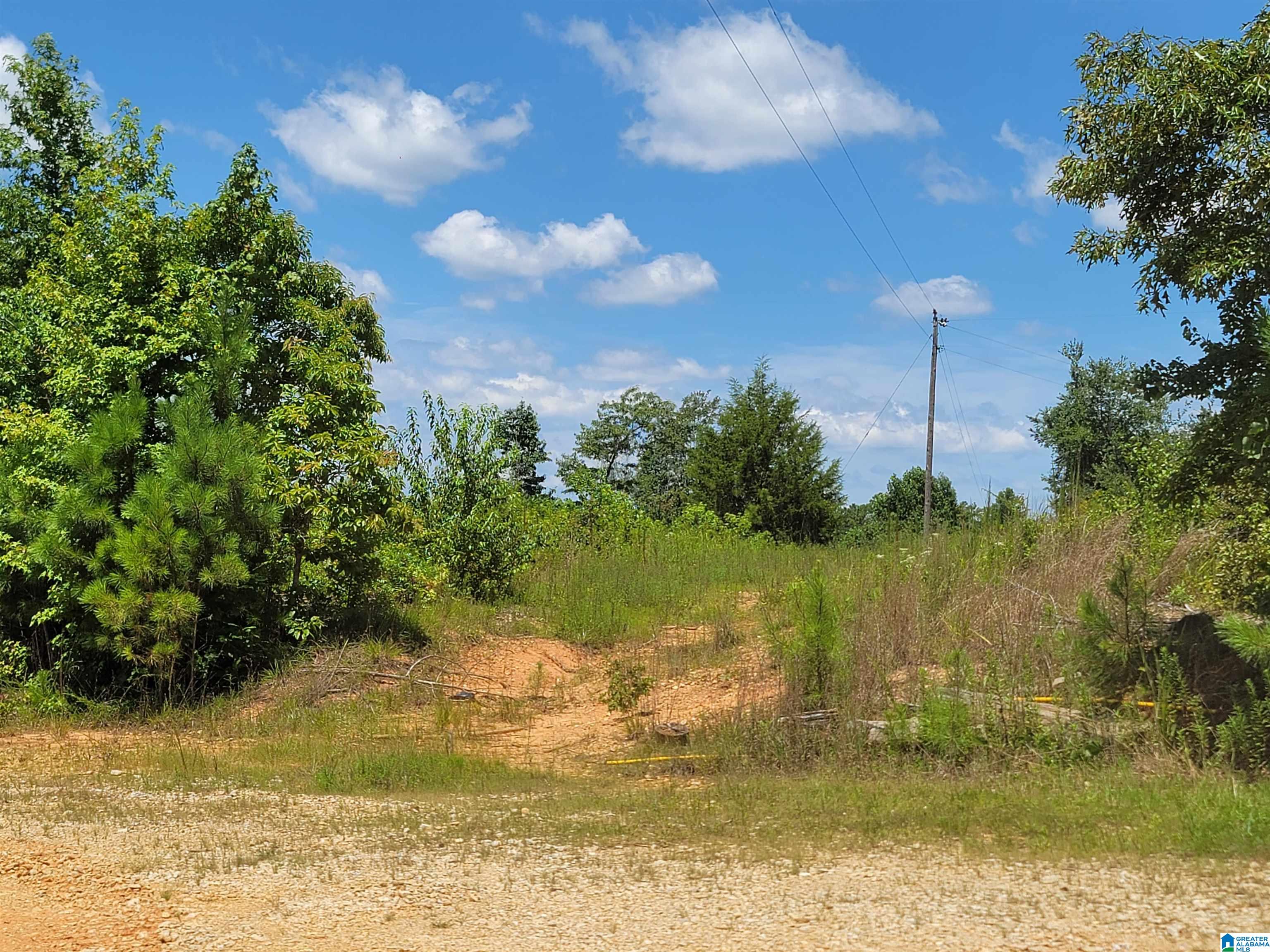 0 County Road 66, Unit 6 ACRES Heflin, AL 36264 - Photo 5 of 6