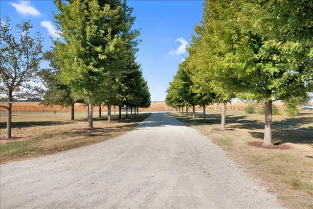 a view of road with large trees