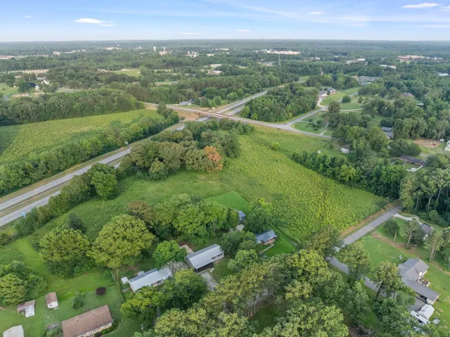 an aerial view of green landscape with trees houses and mountain view
