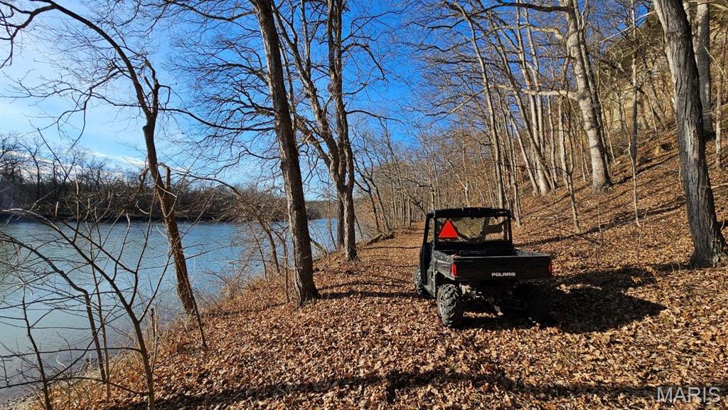 18133 Cincinnati Road Center, MO 63436 - Photo 11 of 46