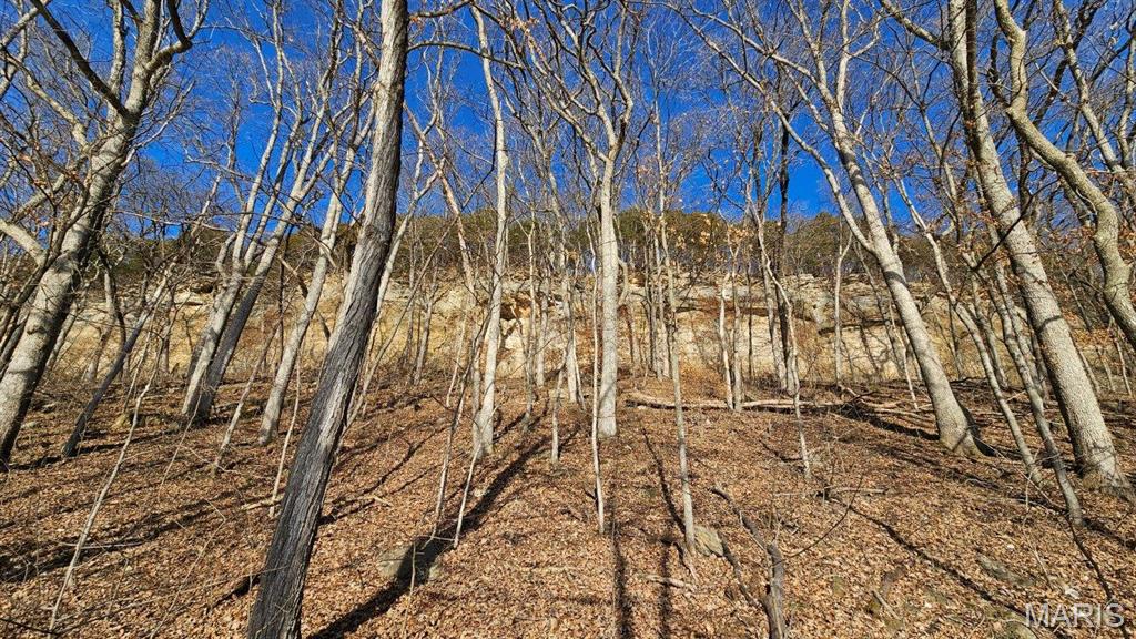 18133 Cincinnati Road Center, MO 63436 - Photo 12 of 46