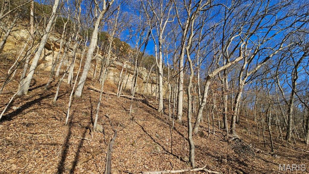 18133 Cincinnati Road Center, MO 63436 - Photo 13 of 46