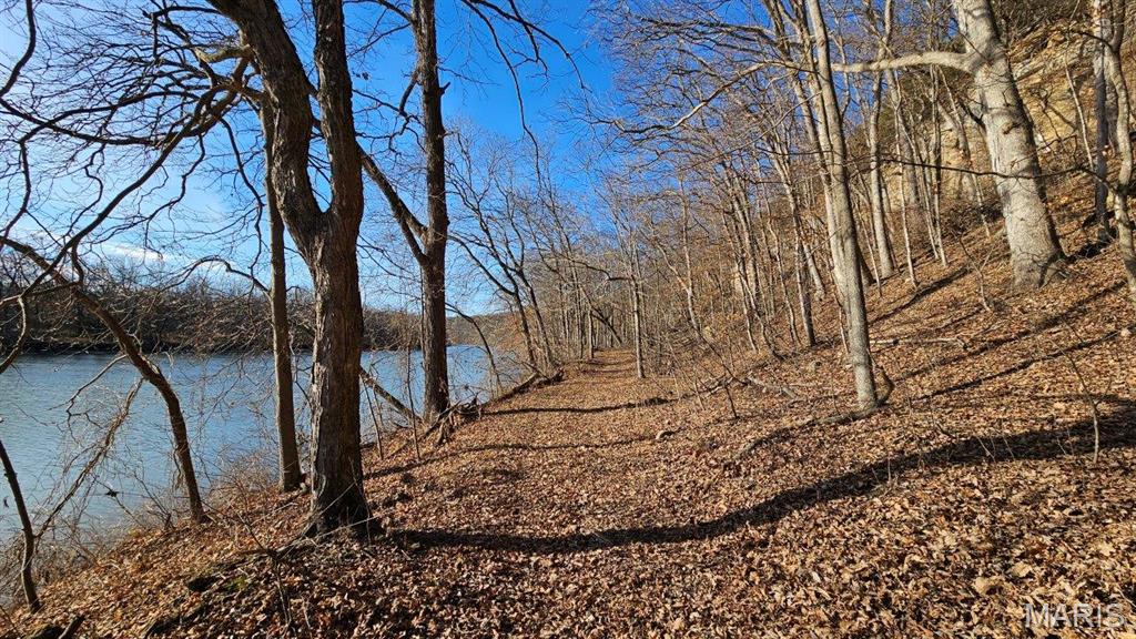 18133 Cincinnati Road Center, MO 63436 - Photo 14 of 46