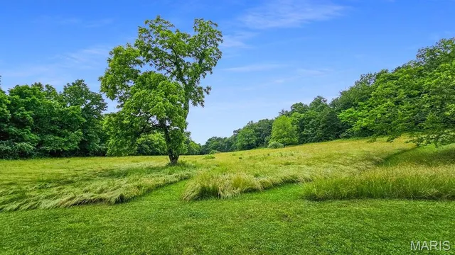 $698,500 | 18133 Cincinnati Road, Center, MO 63436