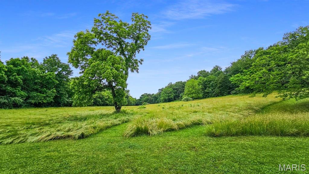 18133 Cincinnati Road Center, MO 63436 - Photo 17 of 46