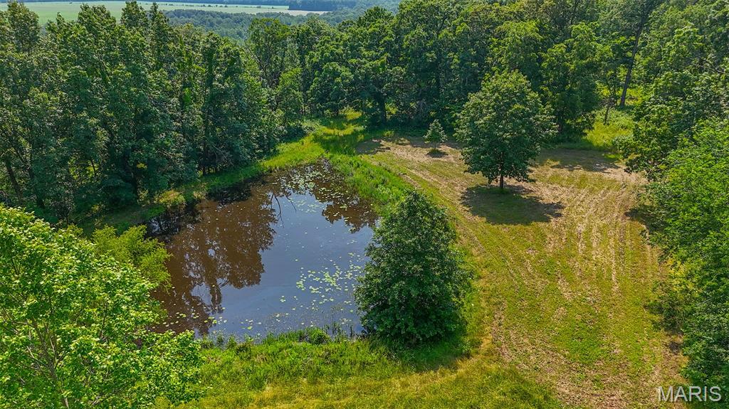 18133 Cincinnati Road Center, MO 63436 - Photo 18 of 46