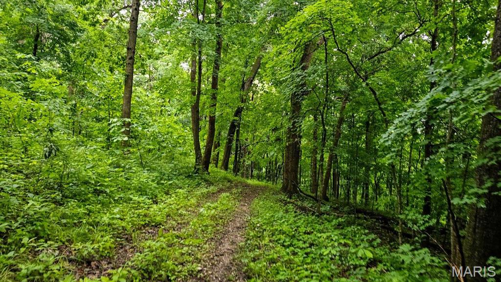 18133 Cincinnati Road Center, MO 63436 - Photo 7 of 46