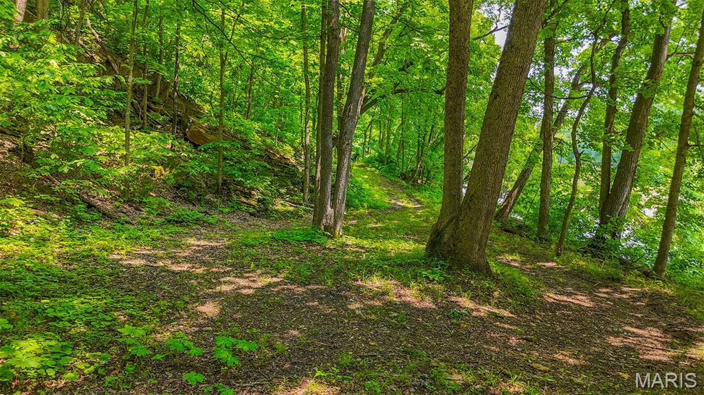 18133 Cincinnati Road Center, MO 63436 - Photo 8 of 46