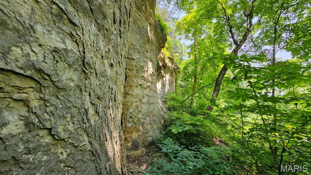 18133 Cincinnati Road Center, MO 63436 - Photo 9 of 46