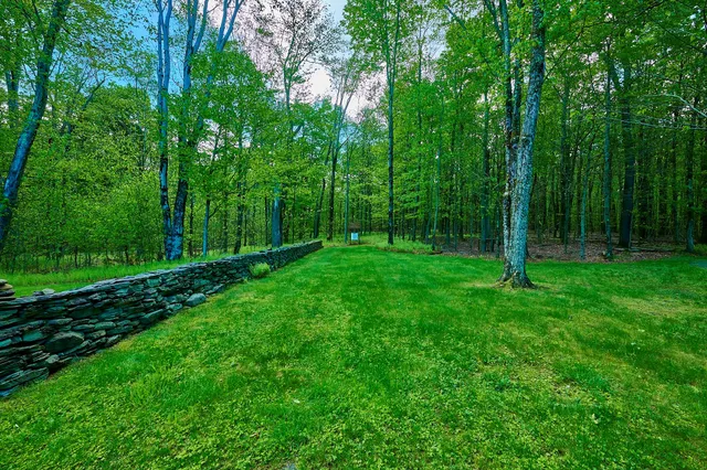 a view of green field with trees in the background