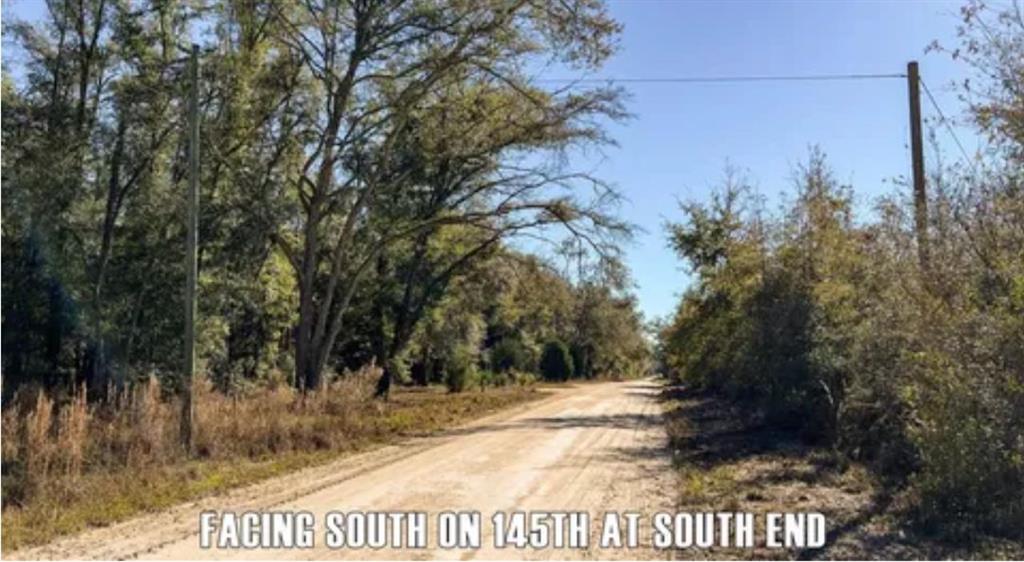 0 164th Street McAlpin, FL 32062 - Photo 3 of 5 a view of a yard with trees