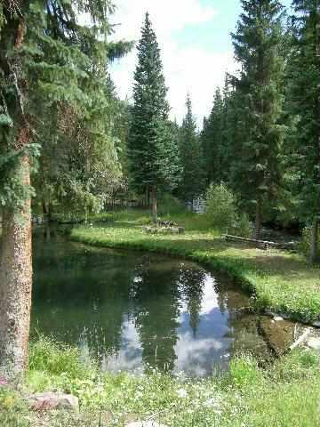 33 Fall Creek Road, Unit ROAD Aspen, CO 81611 - Photo 2 of 9 Additional Photo