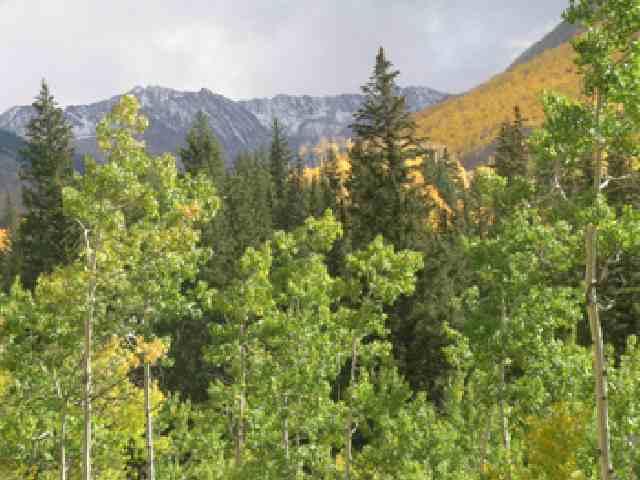 33 Fall Creek Road, Unit ROAD Aspen, CO 81611 - Photo 3 of 9 Additional Photo