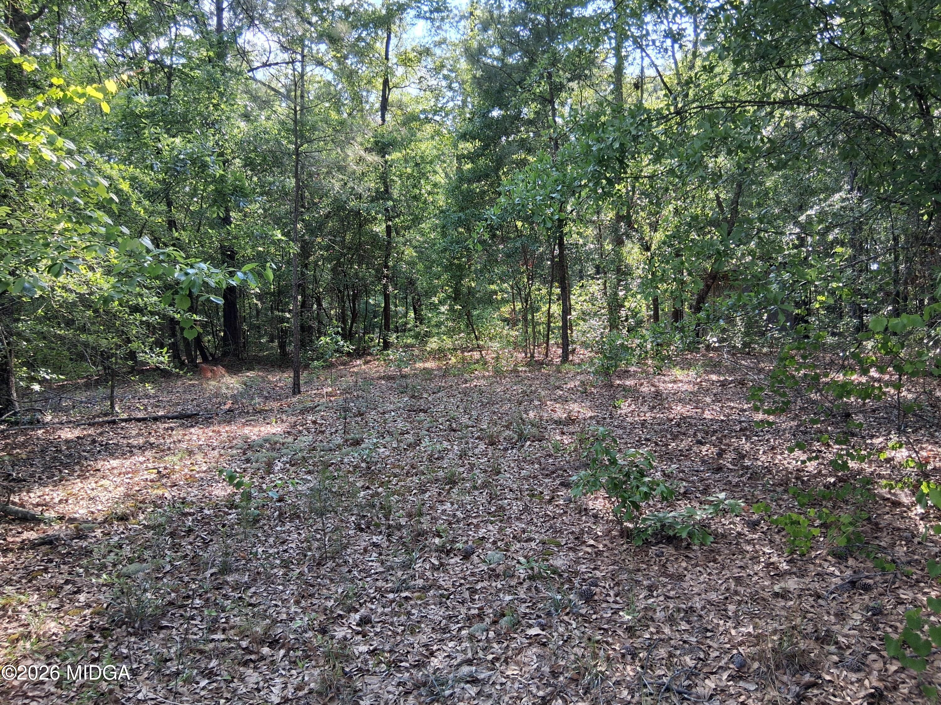 6361 Britt Road Macon, GA 31216 - Photo 5 of 9 1000015373
