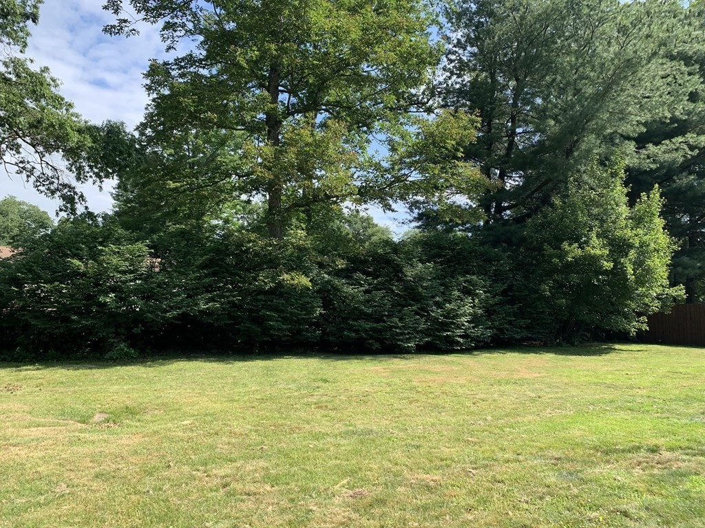 34 Portulaca Drive Springfield, MA 01129 - Photo 20 of 20 a view of yard with green space