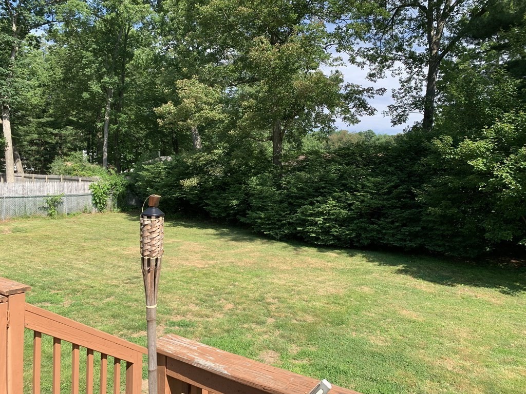 34 Portulaca Drive Springfield, MA 01129 - Photo 5 of 20