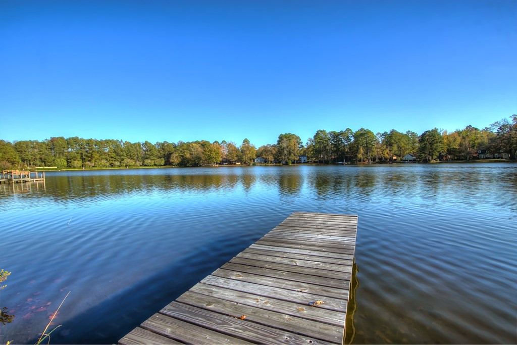 209 Deer Run Road Elgin, SC 29045 - Photo 29 of 29