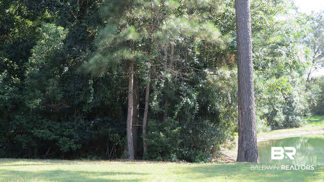 108 Durby Lane Foley, AL 36535 - Photo 44 of 45 Pond and woods