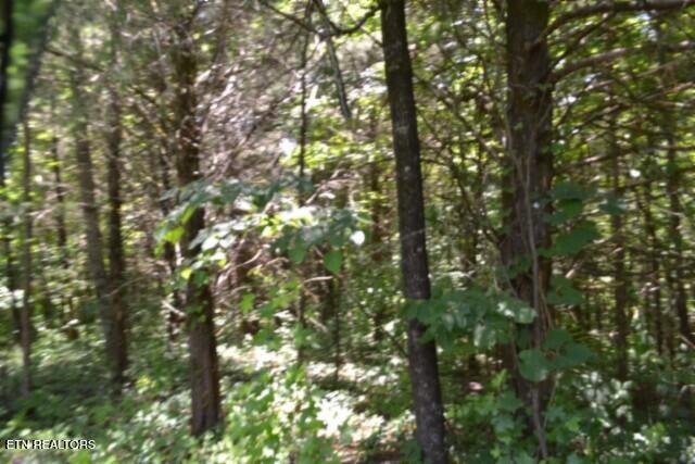 2390 Pea Ridge Fire Tower Road Celina, TN 38551 - Photo 19 of 58 DSC_0093