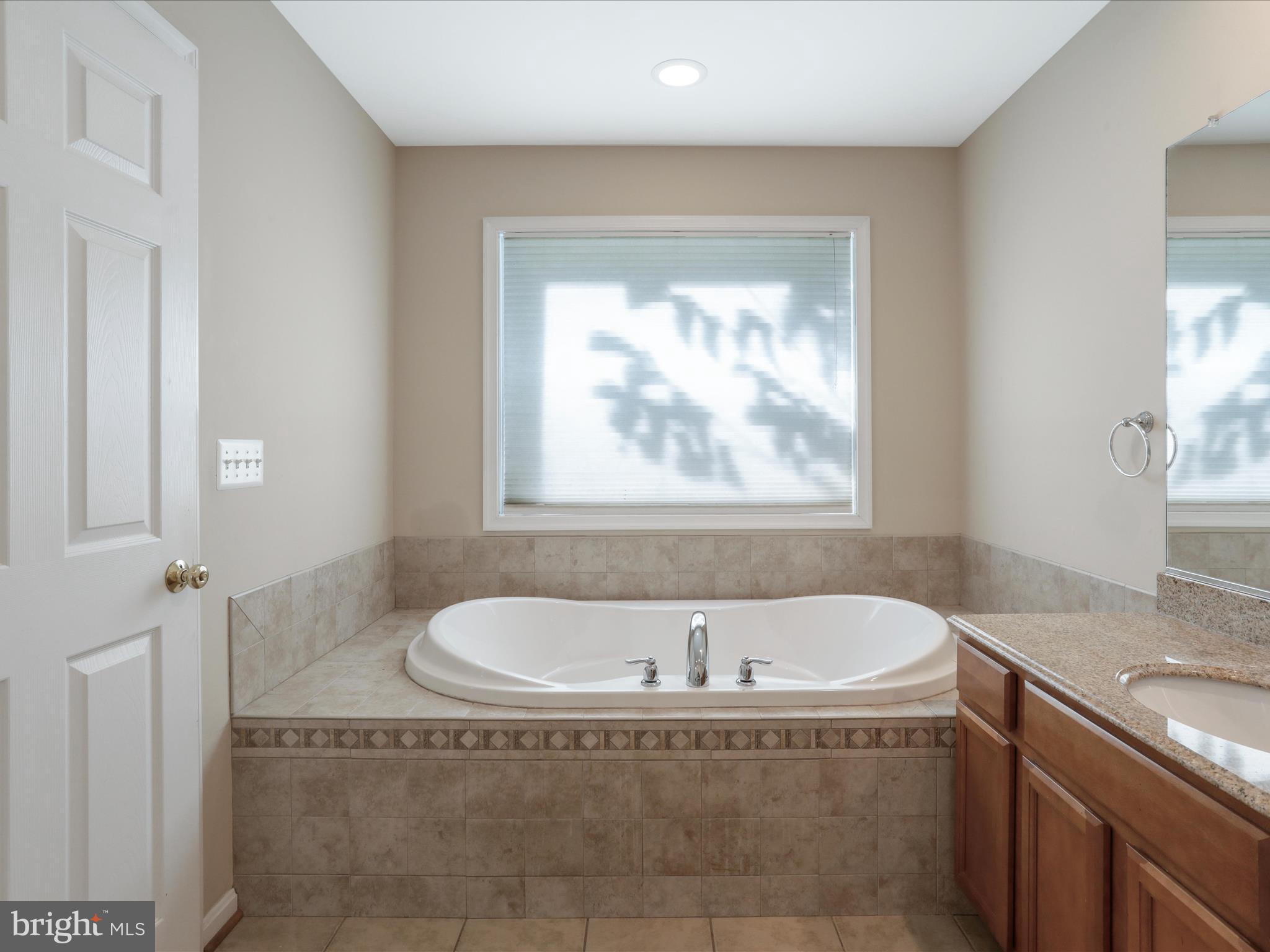 205 Locust Grove Road Front Royal, VA 22630 - Photo 27 of 53 Primary bath soaking tub