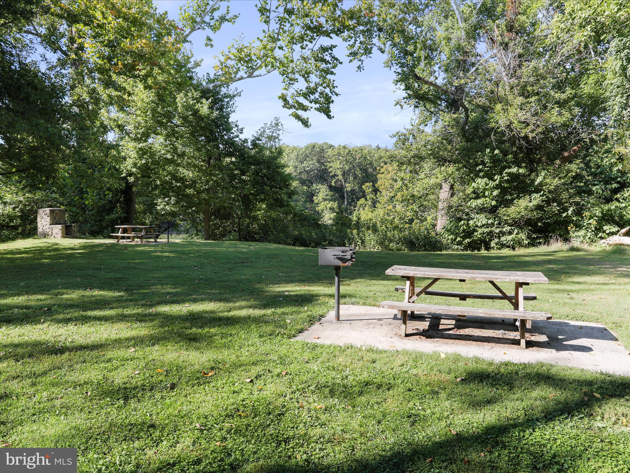 205 Locust Grove Road Front Royal, VA 22630 - Photo 42 of 53 Shenandoah Shores picnic area