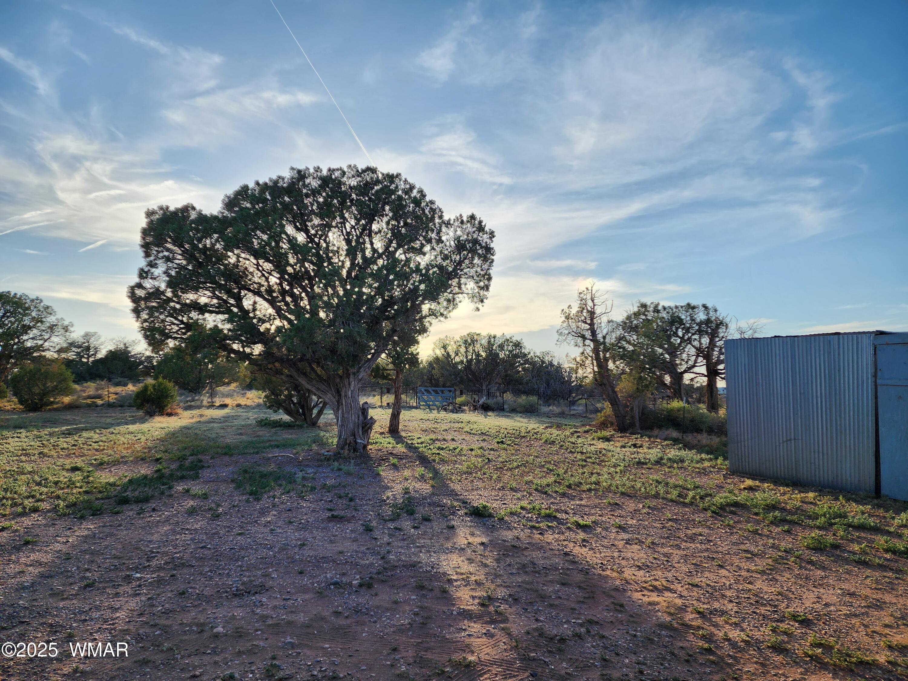 4392 Appaloosa Road Snowflake, AZ 85937 - Photo 21 of 21 Side Yard