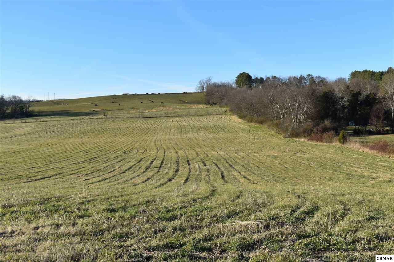 1 McCleary Road Sevierville, TN 37876 - Photo 1 of 3 Gallery Image 1