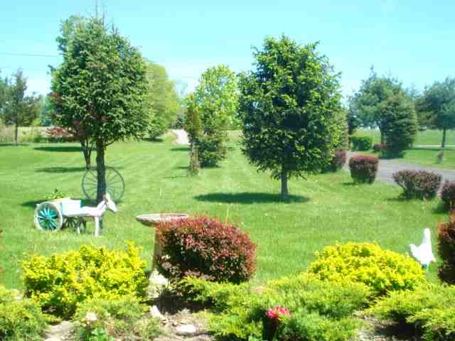 53 Turon Road Greenville, NY 12083 - Photo 3 of 12 Photo 3