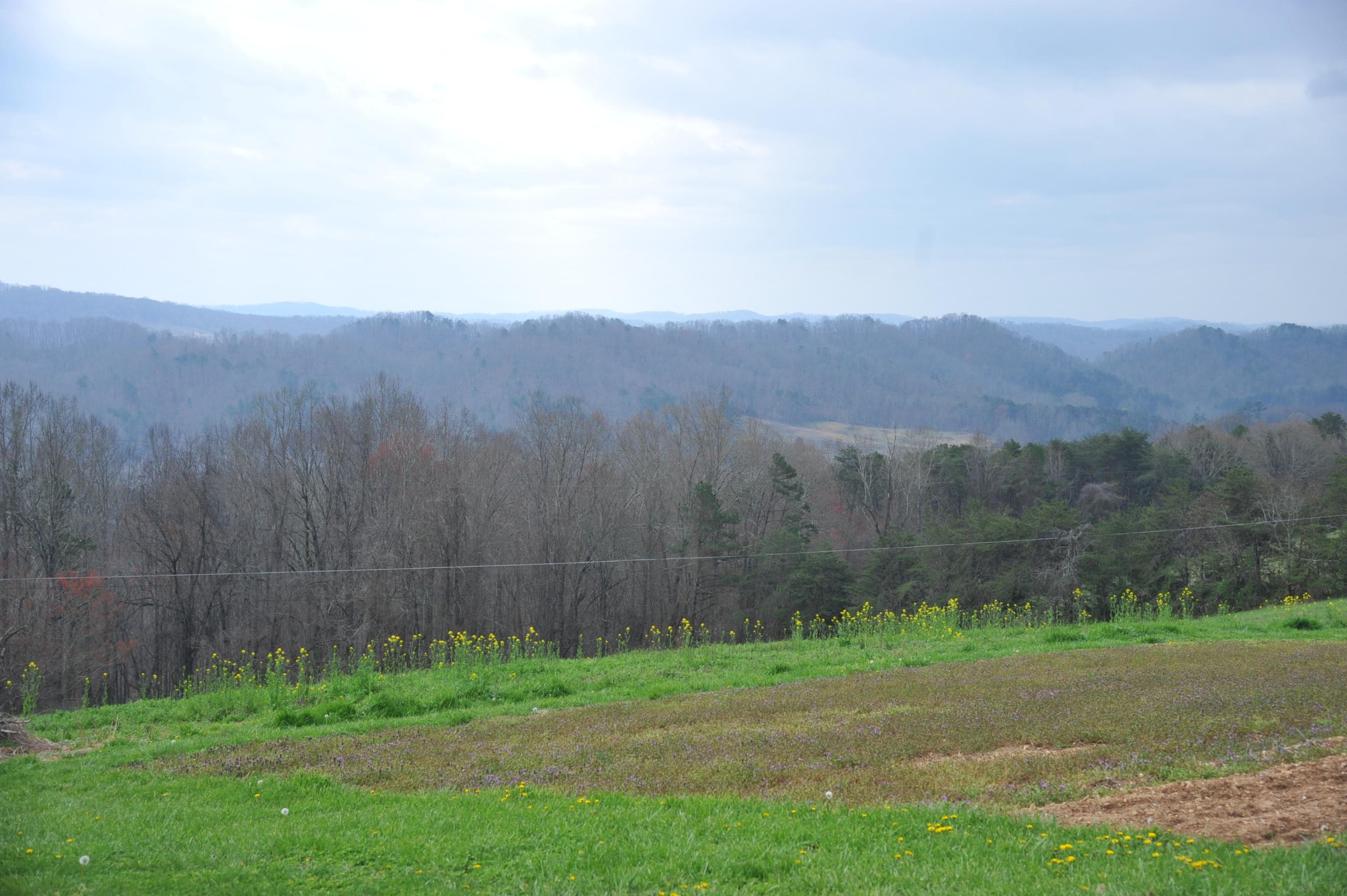 317 Big Ridge Park Road Maynardville, TN 37807 - Photo 4 of 34 Gallery Image 4