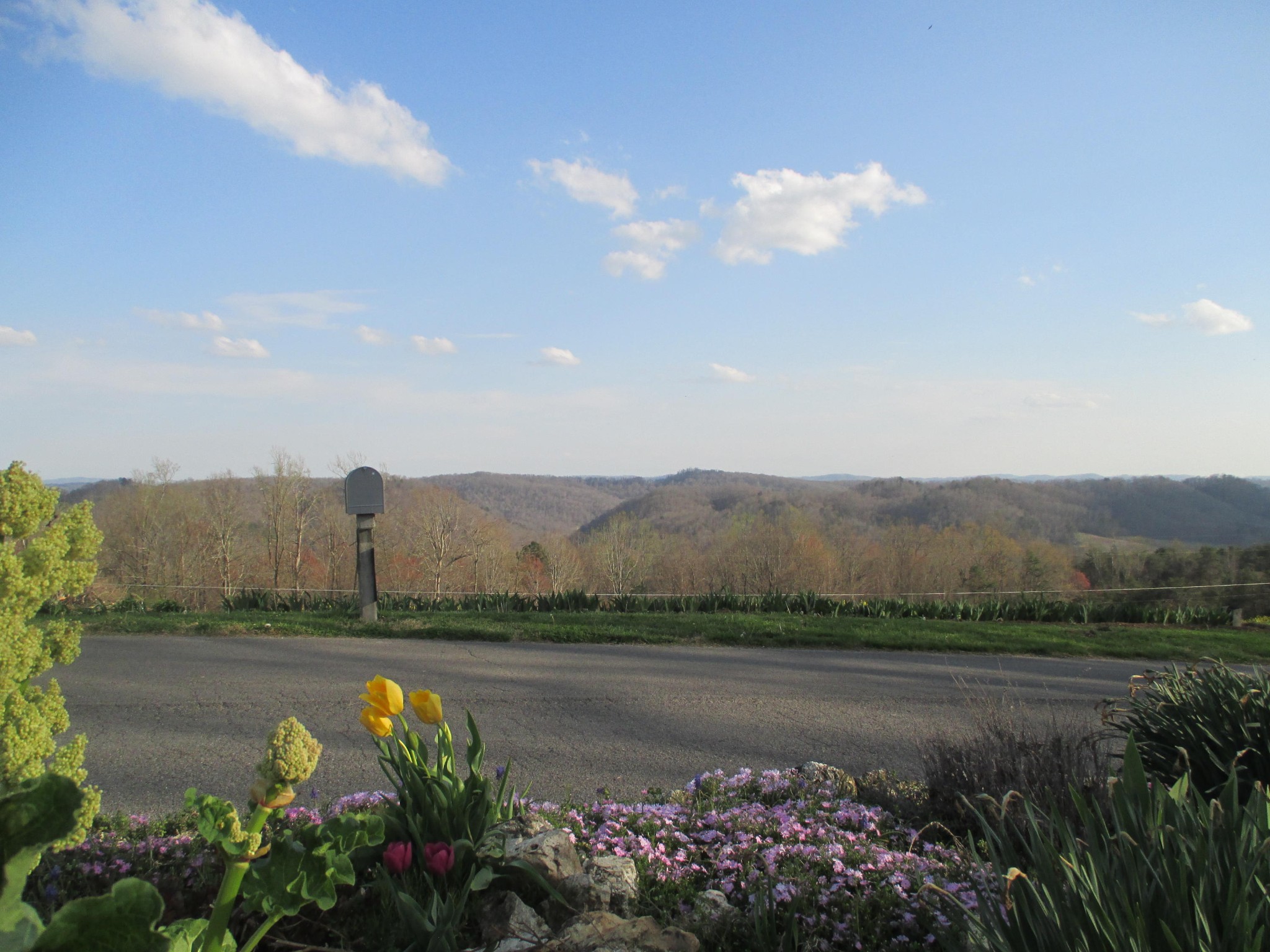 317 Big Ridge Park Road Maynardville, TN 37807 - Photo 6 of 34 Gallery Image 6