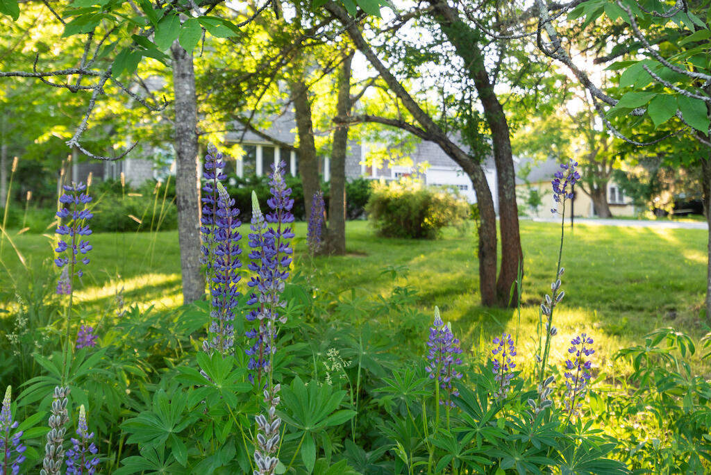 23 Parker Point Road Blue Hill, ME 04614 - Photo 47 of 55 23 parker point - 46 of 57