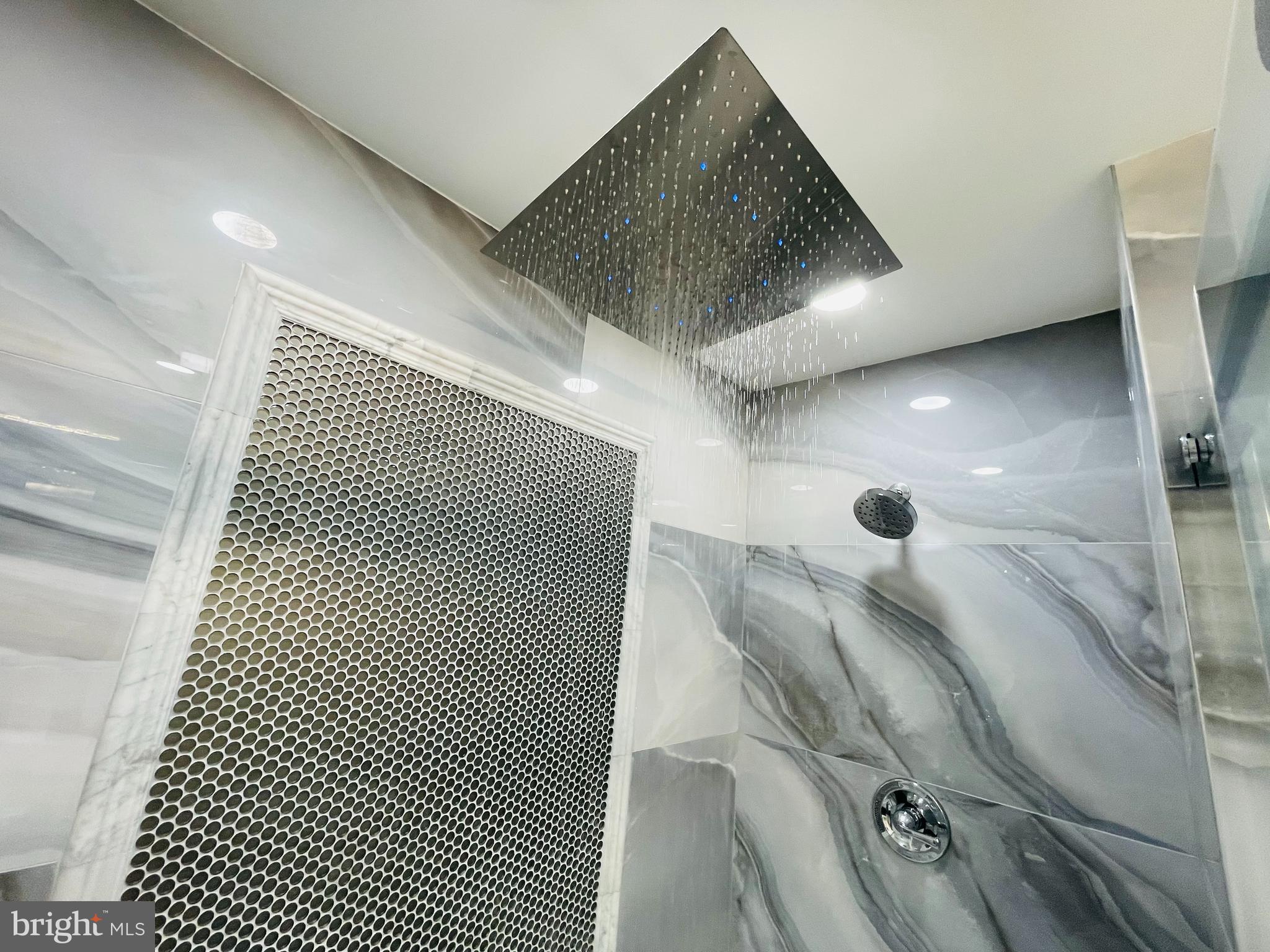 6378 English Ivy Way Springfield, VA 22152 - Photo 30 of 49 Rain Shower with LED Lighting