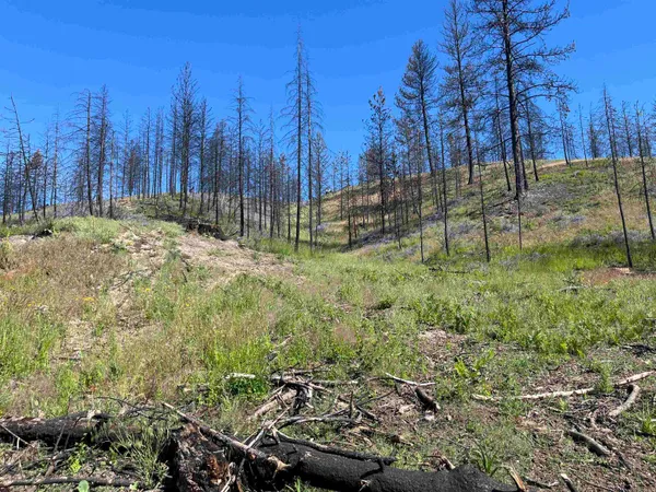 $199,000 | 40114 North Jackson Road, Elk, WA 99009