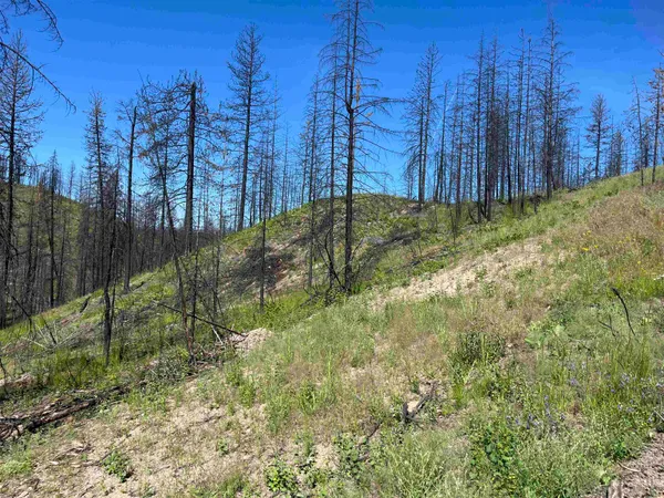 $199,000 | 40114 North Jackson Road, Elk, WA 99009