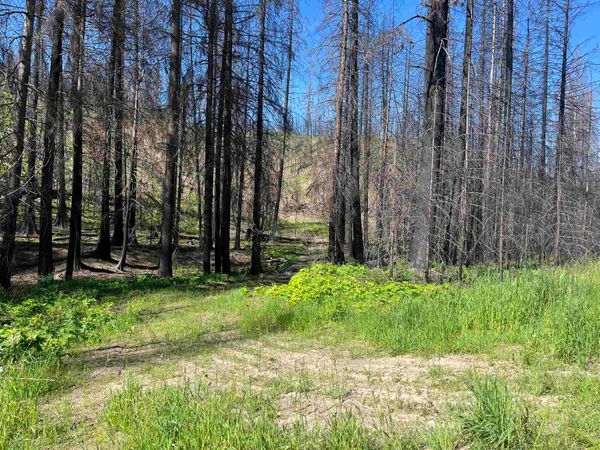 $199,000 | 40114 North Jackson Road, Elk, WA 99009