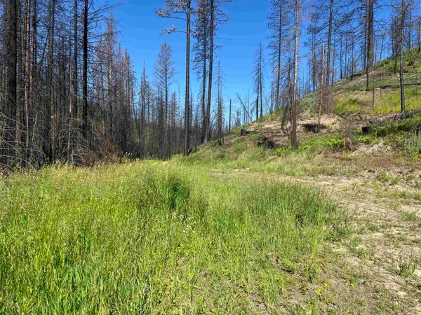 $199,000 | 40114 North Jackson Road, Elk, WA 99009