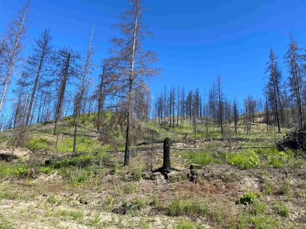 $199,000 | 40114 North Jackson Road, Elk, WA 99009