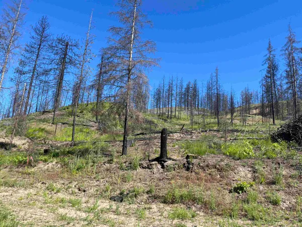 $199,000 | 40114 North Jackson Road, Elk, WA 99009