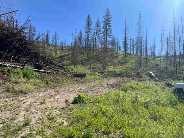 $199,000 | 40114 North Jackson Road, Elk, WA 99009