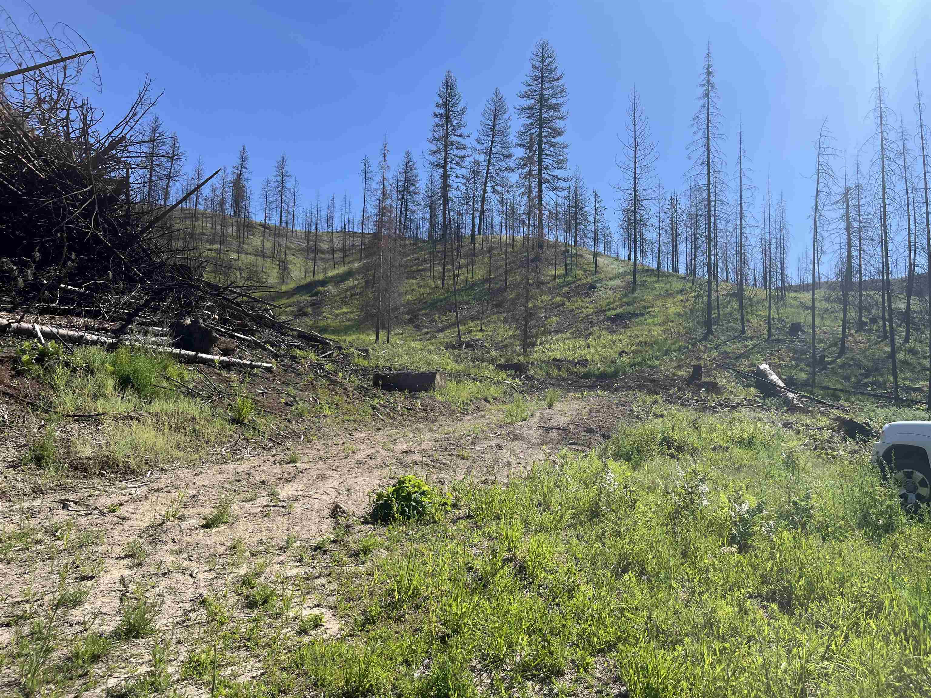 40114 North Jackson Road Elk, WA 99009 - Photo 17 of 27