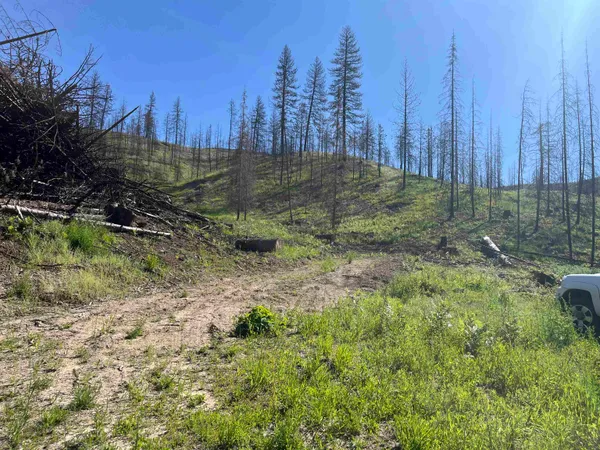 $199,000 | 40114 North Jackson Road, Elk, WA 99009