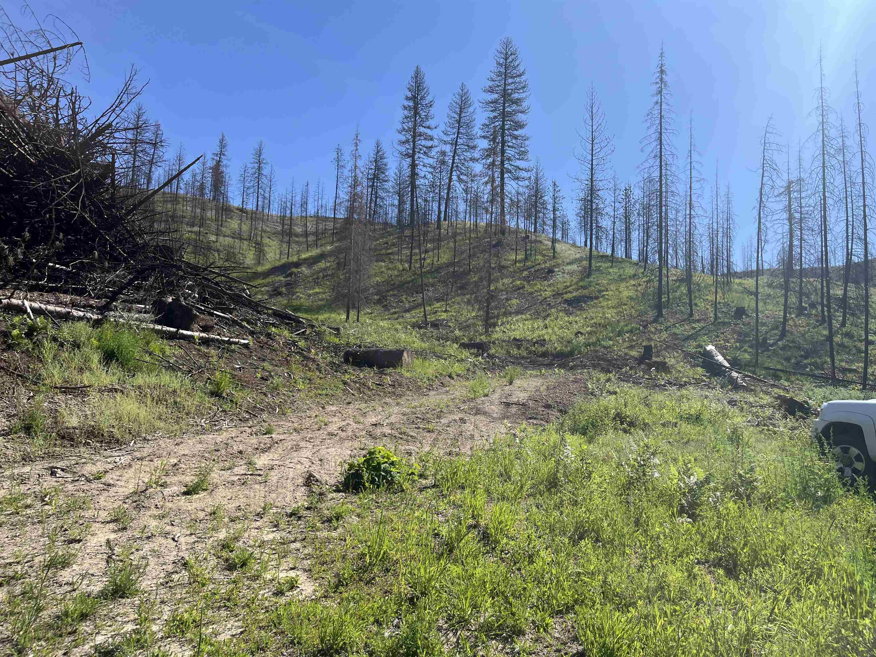 40114 North Jackson Road Elk, WA 99009 - Photo 18 of 27