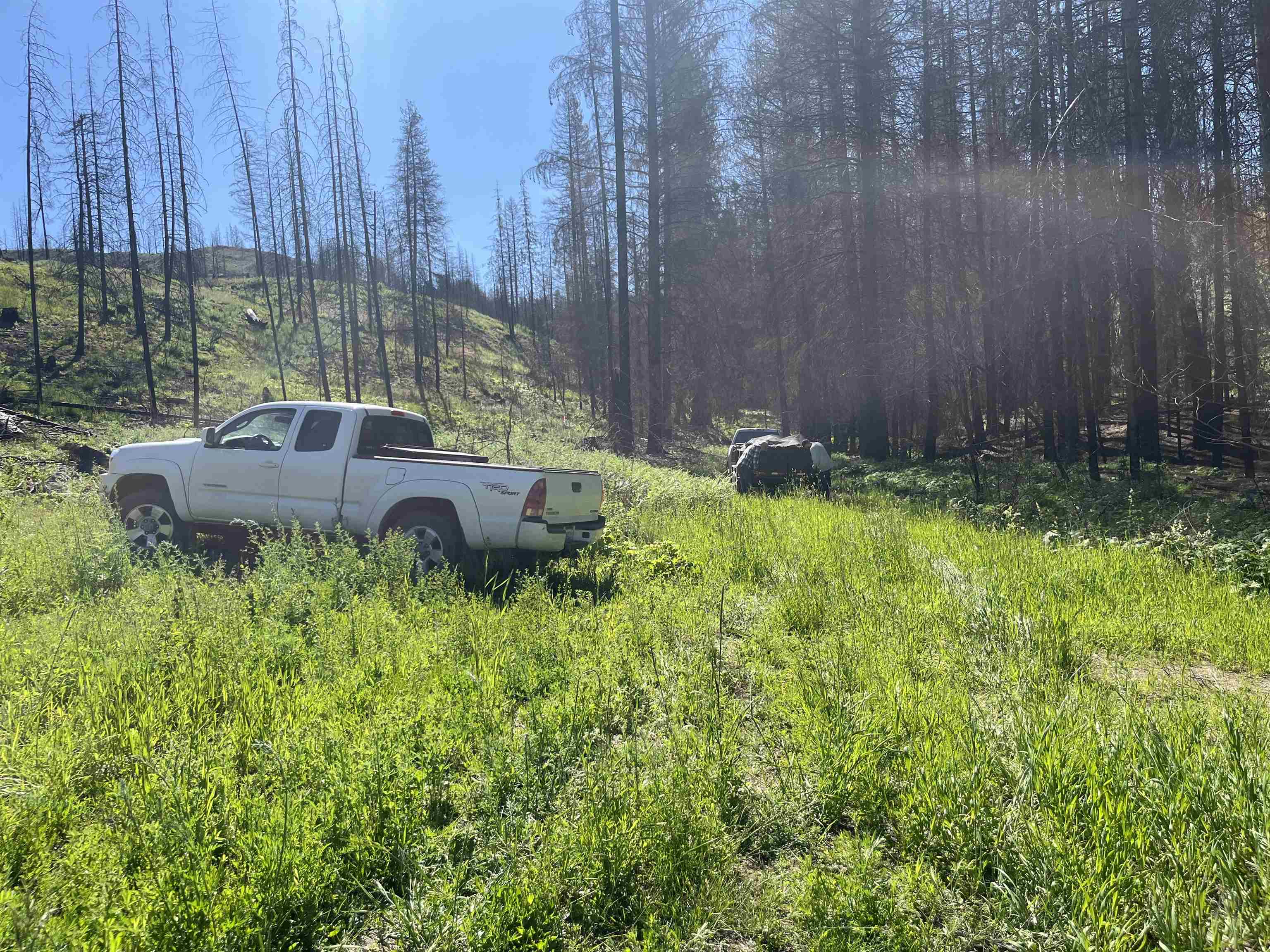 40114 North Jackson Road Elk, WA 99009 - Photo 19 of 27