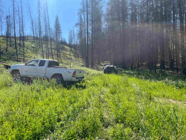 $199,000 | 40114 North Jackson Road, Elk, WA 99009