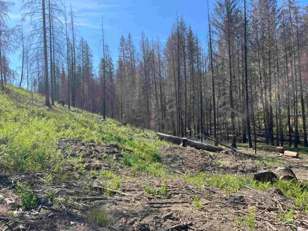 $199,000 | 40114 North Jackson Road, Elk, WA 99009