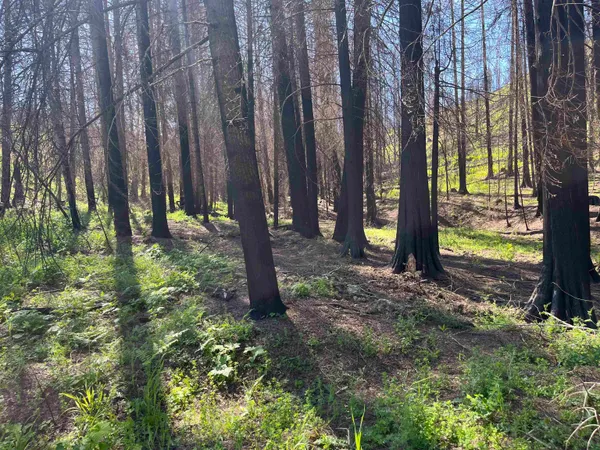 $199,000 | 40114 North Jackson Road, Elk, WA 99009